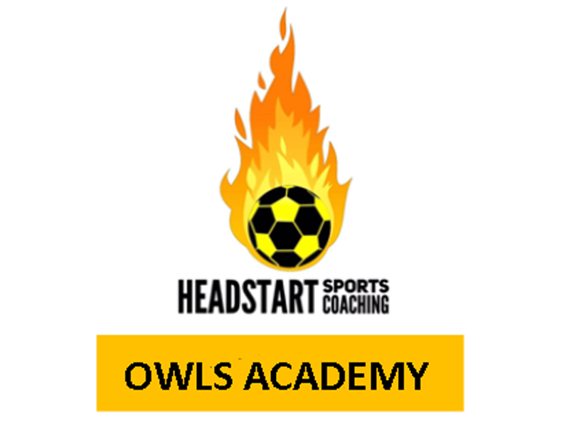 owls